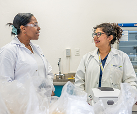 empleados dedicadas a funciones de Salud y Medioambiente